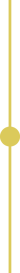 100 100